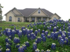 2014-04-13-Bluebonnets-3.JPG