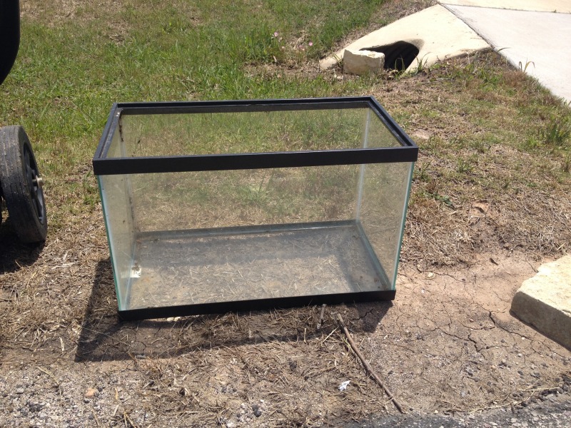 2014-05-17-Cleaning-under-Justins-porch-13-fish-tank.JPG