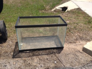 2014-05-17-Cleaning-under-Justins-porch-13-fish-tank.JPG
