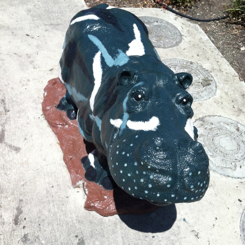 2014-05-10-Hutto-Hippo.JPG