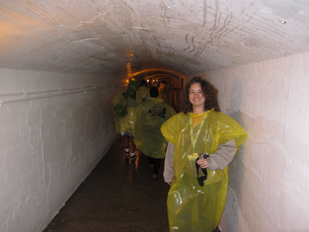 2014/05(May)/Niagara-Falls/1024x768_2014-05-24-Niagra-Falls-097-Suzi.JPG