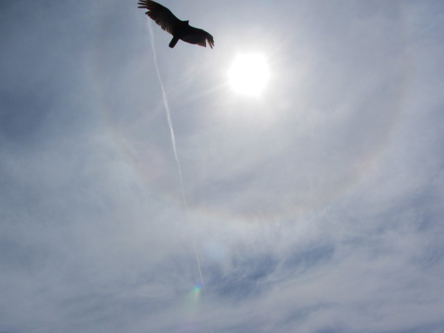 2014-05-26-Niagra-Falls-13.JPG