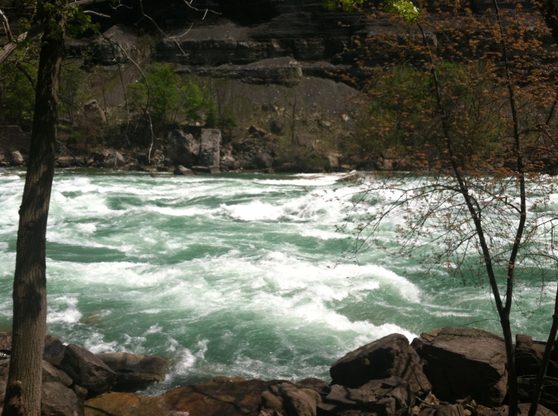 2014/05(May)/Niagara-Falls/800x600_2014-05-27-Niagra-Falls-17.JPG