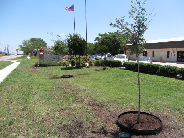 2014-05-10-Chance-Eagle-Project-184-done.JPG