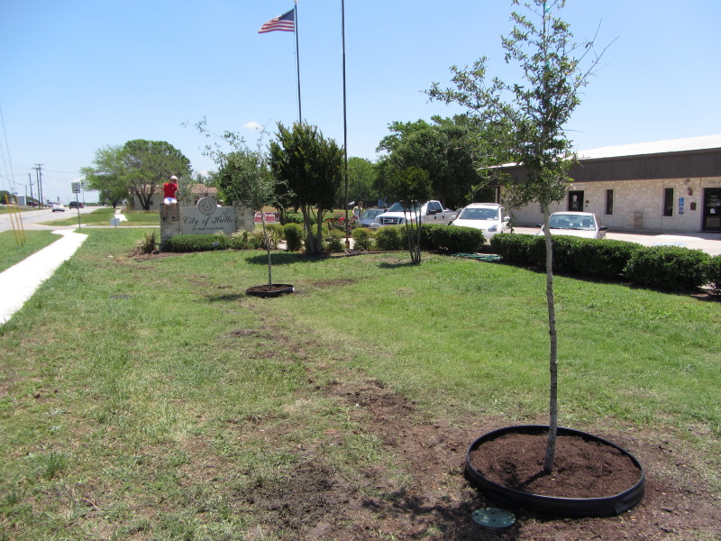2014/05(May)/Troop214-Chance-Eagle-Project/800x600_2014-05-10-Chance-Eagle-Project-183-done.JPG