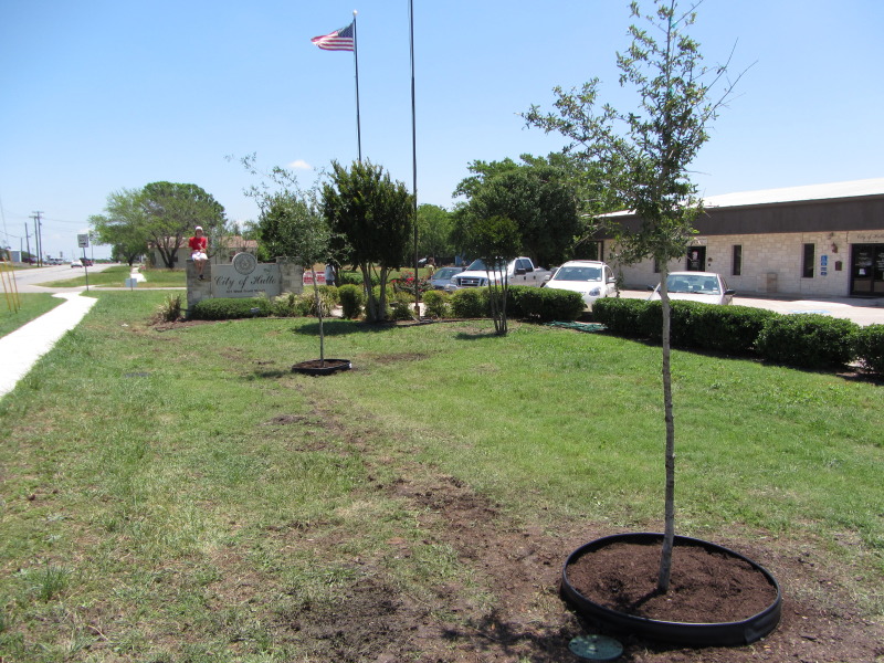 2014/05(May)/Troop214-Chance-Eagle-Project/800x600_2014-05-10-Chance-Eagle-Project-184-done.JPG