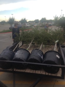 2014-05-09-Chance-Eagle-Project-1-Home-Depot-GOOD.JPG