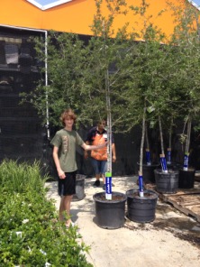 2014-04-27-Chance-Eagle-Project-1-Home-Depot.JPG