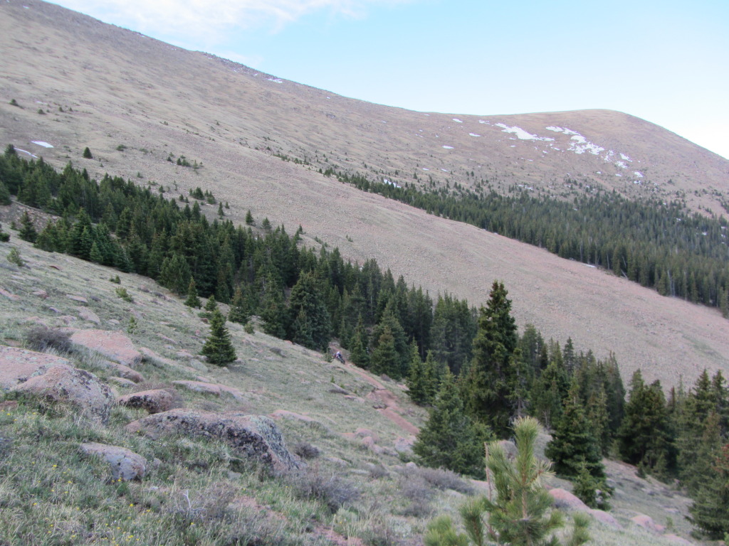 2014/06(June)/Colorado/Troop214-Camp-Alexander/1024x768_IMG_1317.JPG