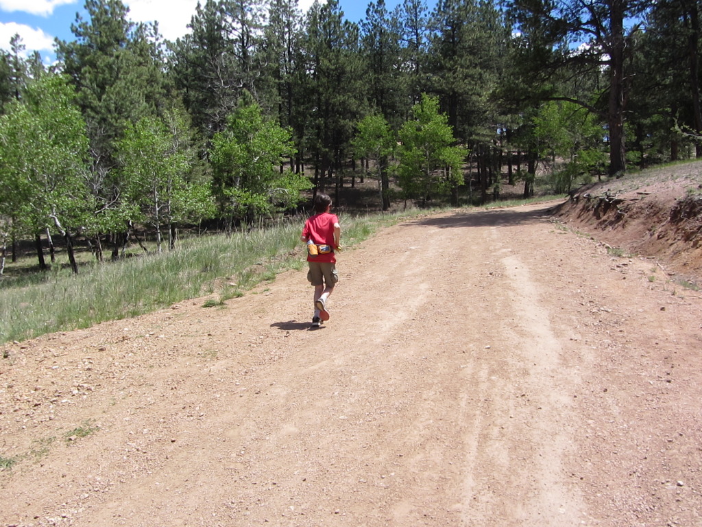 2014/06(June)/Colorado/Troop214-Camp-Alexander/1024x768_IMG_1366.JPG
