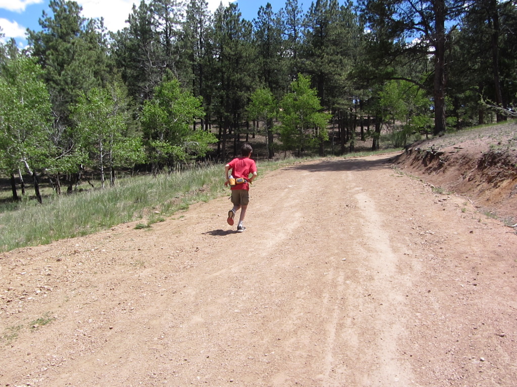 2014/06(June)/Colorado/Troop214-Camp-Alexander/1024x768_IMG_1368.JPG