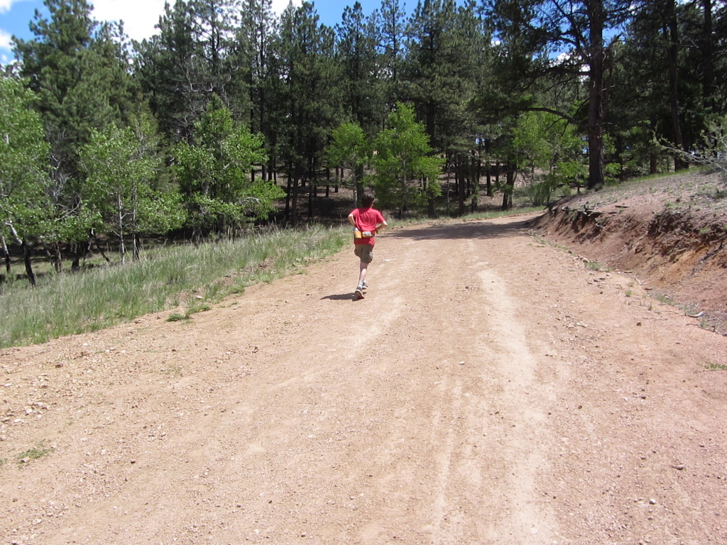 2014/06(June)/Colorado/Troop214-Camp-Alexander/1024x768_IMG_1373.JPG