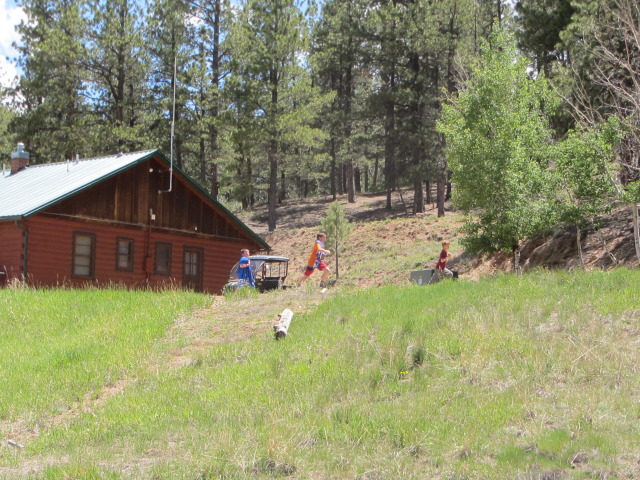 2014/06(June)/Colorado/Troop214-Camp-Alexander/640x480_IMG_1402.JPG