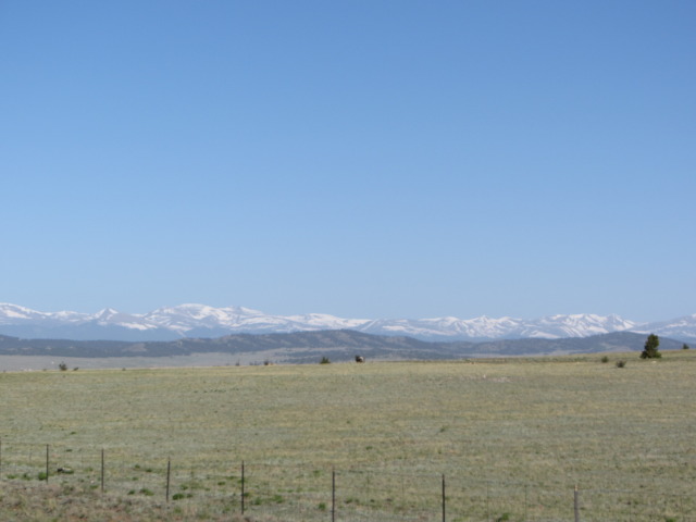 2014/06(June)/Colorado/Troop214-Camp-Alexander/640x480_IMG_1495.JPG