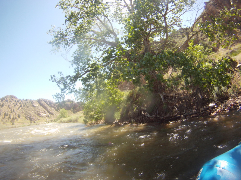 2014/06(June)/Colorado/Troop214-Camp-Alexander/800x600_GOPR7991.JPG