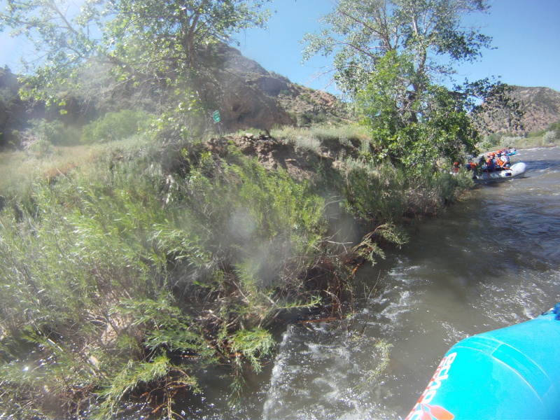 2014/06(June)/Colorado/Troop214-Camp-Alexander/800x600_GOPR7992.JPG