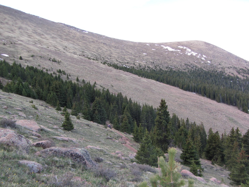 2014/06(June)/Colorado/Troop214-Camp-Alexander/800x600_IMG_1316.JPG