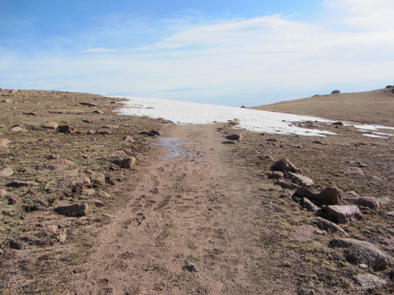 2014/06(June)/Colorado/Troop214-Camp-Alexander/800x600_IMG_1319.JPG