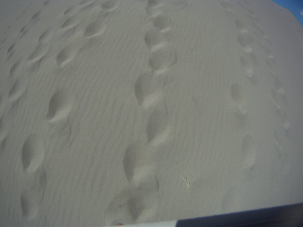 GOPR9537.JPG