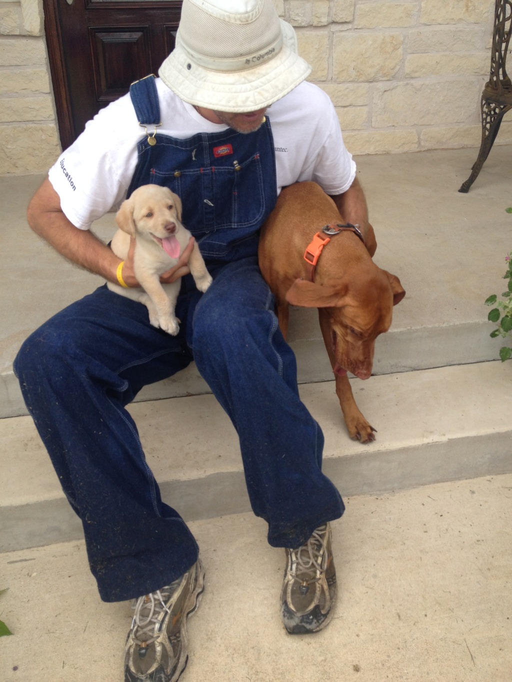 2014/07(July)/Bevo/1024x768_2014-06-21-01-Bevo_7-DeeOhhGee-Travis.JPG