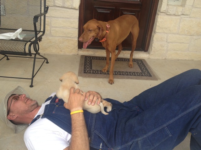 2014/07(July)/Bevo/640x480_2014-06-21-06-Bevo-DeeOhhGee-Travis.JPG