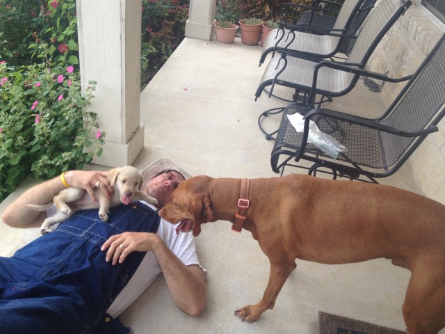 2014/07(July)/Bevo/640x480_2014-06-21-08-Bevo-DeeOhhGee-Travis.JPG