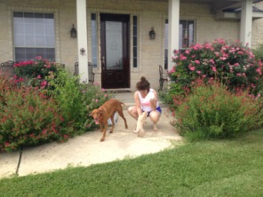 2014-06-21-01-Bevo_5-DeeOhhGee.JPG
