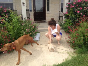 2014-06-21-01-Bevo_6-DeeOhhGee.JPG