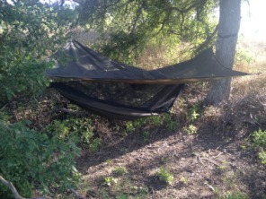 2014-07-09-Hennessey-Hammock-2-chigger-area.JPG