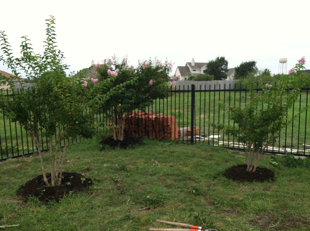 2014-07-19-Yard-Work-02.JPG