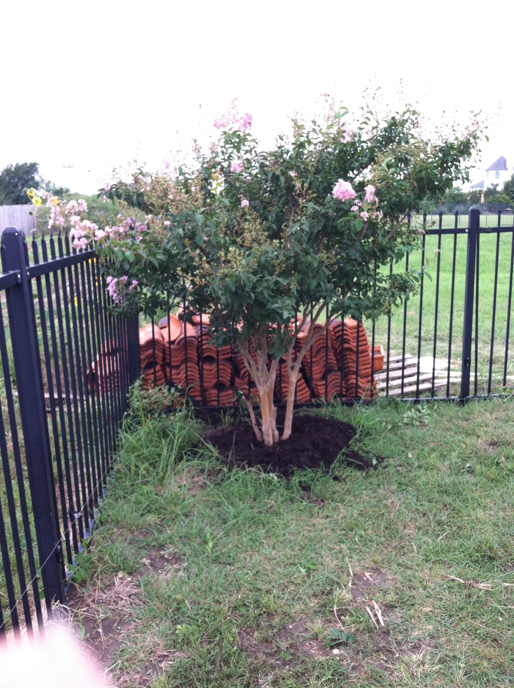 2014/07(July)/Yard-Work/1024x768_2014-07-19-Yard-Work-03.JPG