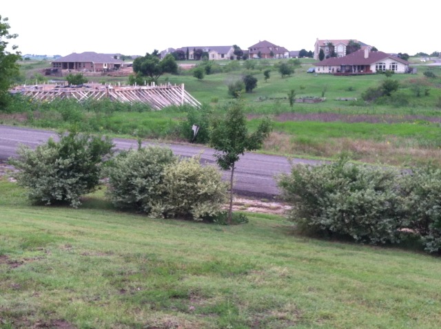 2014/07(July)/Yard-Work/640x480_2014-07-19-Yard-Work-09.JPG