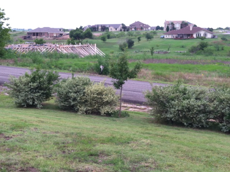 2014-07-19-Yard-Work-09.JPG