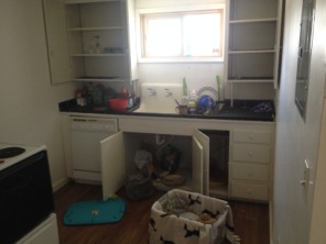 2014-08-23-Matt-moves-to-Salt-Lake-City-20.JPG
