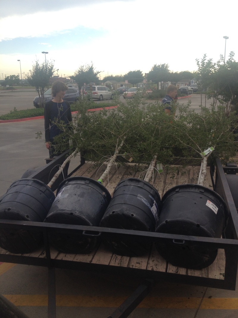 2014/BEST-OF/800x600_2014-05-09-Chance-Eagle-Project-1-Home-Depot-GOOD.JPG