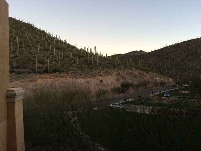 2015/02(February)/ERM-Phoenix/640x480_2015-02-10-ERM-Phoenix-02-Marriott-view.JPG