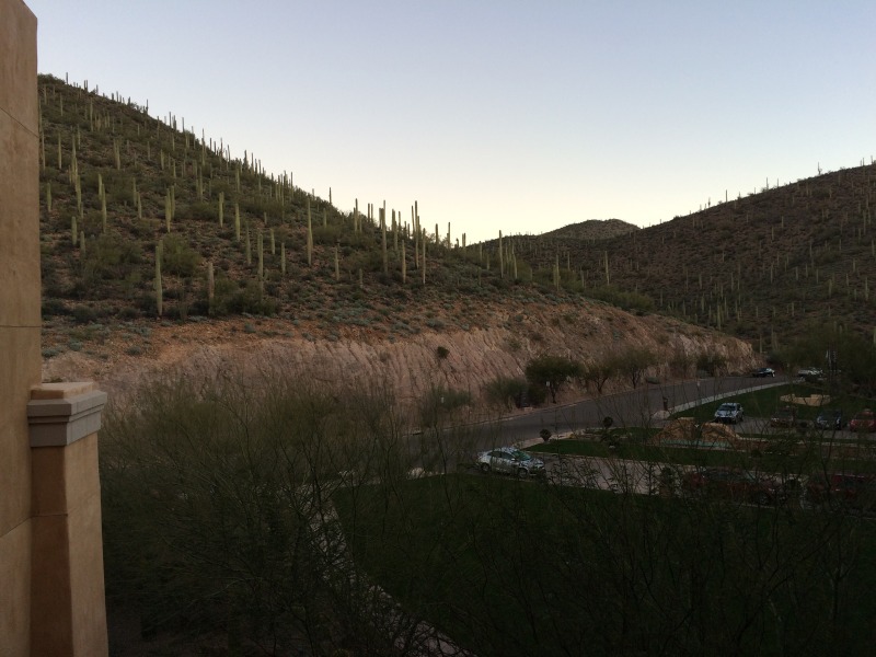 2015/02(February)/ERM-Phoenix/800x600_2015-02-10-ERM-Phoenix-02-Marriott-view.JPG