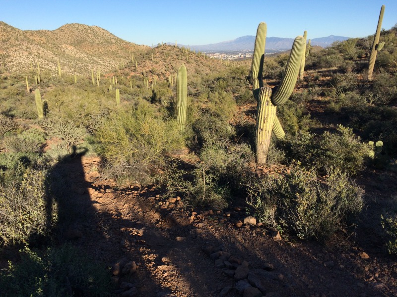 2015/02(February)/ERM-Phoenix/800x600_2015-02-10-ERM-Phoenix-03-Marriott-view.JPG