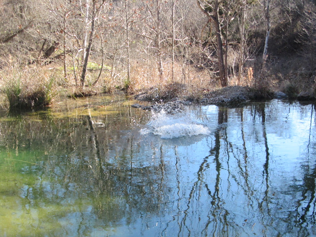 2015/02(February)/Troop214-Colorado-Bend-Philmont-prep/Pond-jump-sequences/1024x768_2015-02-07-Colorado-Bend-Philmont-Prep-pond-jumping-018-Chance.JPG