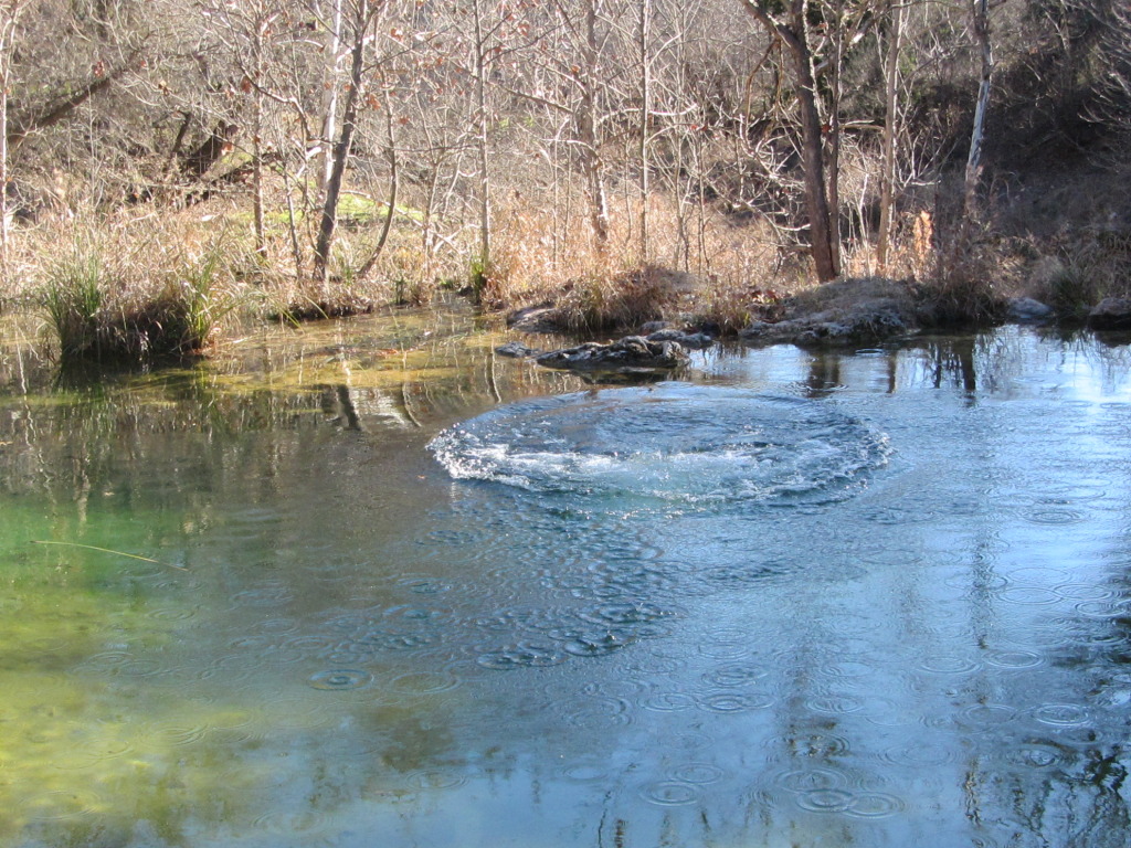2015-02-07-Colorado-Bend-Philmont-Prep-pond-jumping-027-Chance.JPG