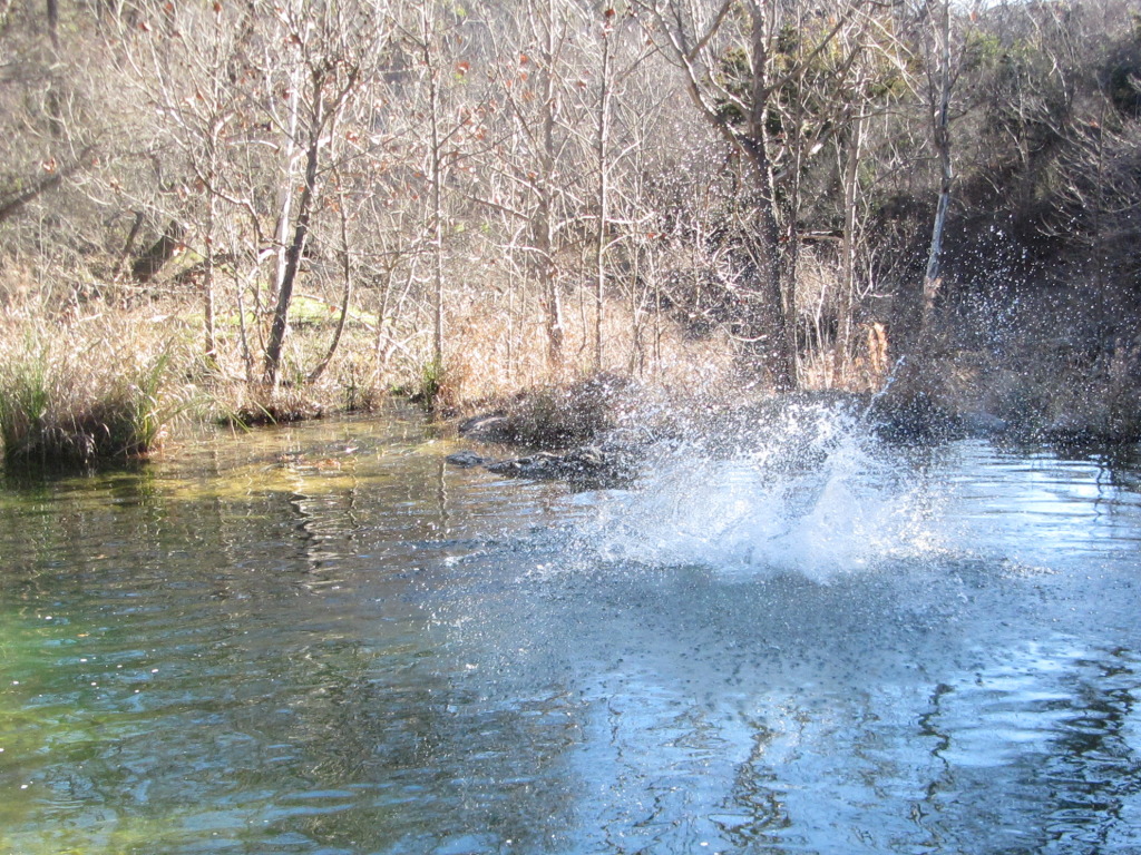2015/02(February)/Troop214-Colorado-Bend-Philmont-prep/Pond-jump-sequences/1024x768_2015-02-07-Colorado-Bend-Philmont-Prep-pond-jumping-211-Sebastian.JPG