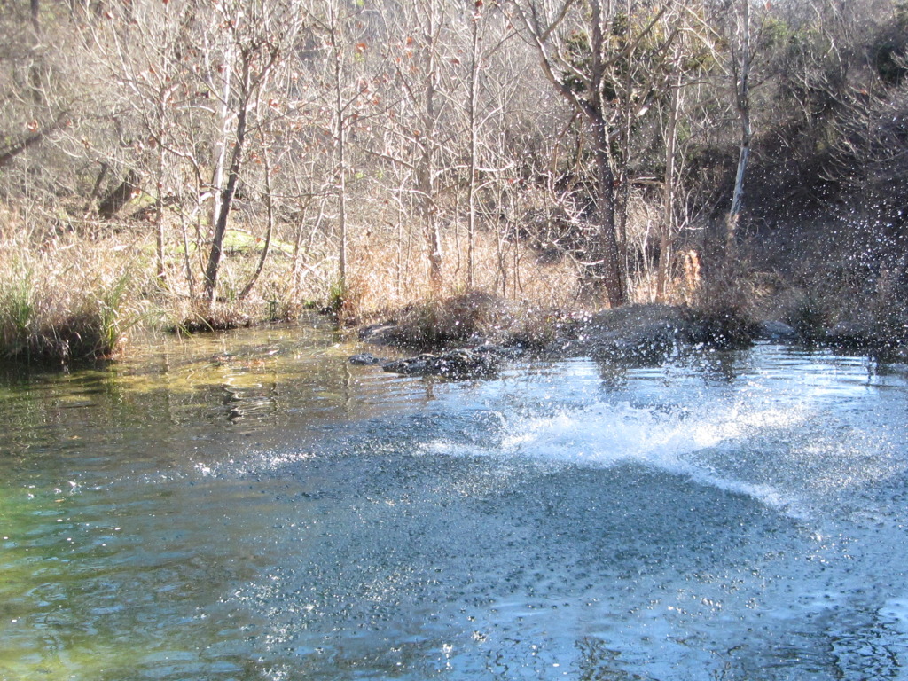 2015/02(February)/Troop214-Colorado-Bend-Philmont-prep/Pond-jump-sequences/1024x768_2015-02-07-Colorado-Bend-Philmont-Prep-pond-jumping-213-Sebastian.JPG