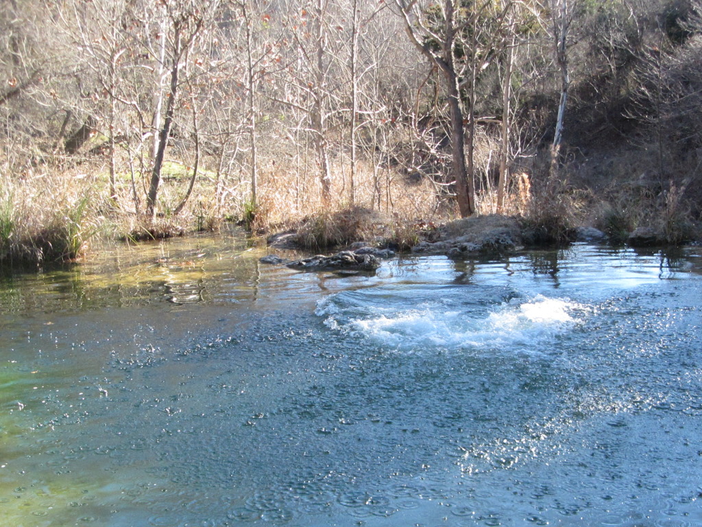 2015/02(February)/Troop214-Colorado-Bend-Philmont-prep/Pond-jump-sequences/1024x768_2015-02-07-Colorado-Bend-Philmont-Prep-pond-jumping-217-Sebastian.JPG