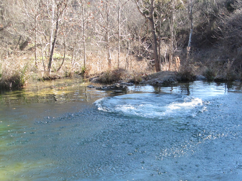 2015/02(February)/Troop214-Colorado-Bend-Philmont-prep/Pond-jump-sequences/1024x768_2015-02-07-Colorado-Bend-Philmont-Prep-pond-jumping-219-Sebastian.JPG