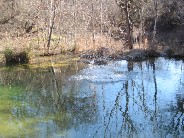 2015-02-07-Colorado-Bend-Philmont-Prep-pond-jumping-019-Chance.JPG