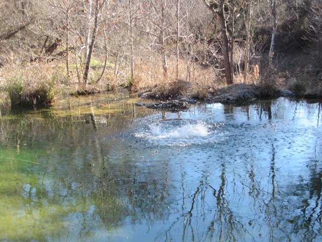 2015/02(February)/Troop214-Colorado-Bend-Philmont-prep/Pond-jump-sequences/640x480_2015-02-07-Colorado-Bend-Philmont-Prep-pond-jumping-021-Chance.JPG