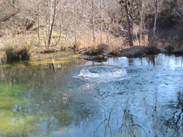 2015-02-07-Colorado-Bend-Philmont-Prep-pond-jumping-023-Chance.JPG