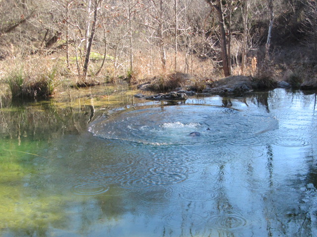 2015/02(February)/Troop214-Colorado-Bend-Philmont-prep/Pond-jump-sequences/640x480_2015-02-07-Colorado-Bend-Philmont-Prep-pond-jumping-033-Chance.JPG