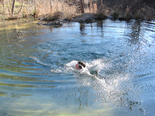 2015/02(February)/Troop214-Colorado-Bend-Philmont-prep/Pond-jump-sequences/640x480_2015-02-07-Colorado-Bend-Philmont-Prep-pond-jumping-095-Chance.JPG