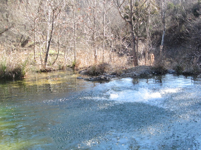 2015/02(February)/Troop214-Colorado-Bend-Philmont-prep/Pond-jump-sequences/640x480_2015-02-07-Colorado-Bend-Philmont-Prep-pond-jumping-214-Sebastian.JPG